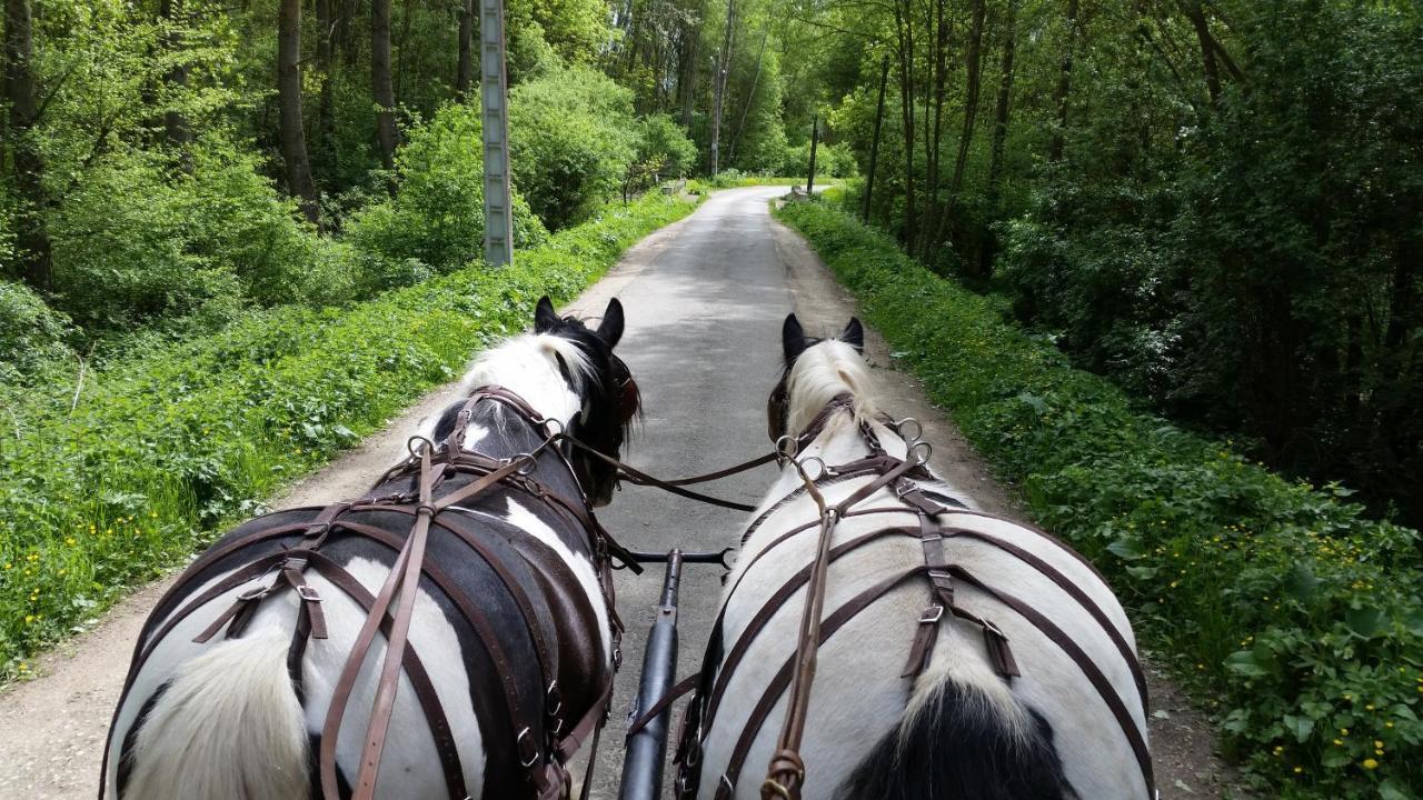 Les Chevaux De L'Hippocampe Hotel Mont-Dol Luaran gambar